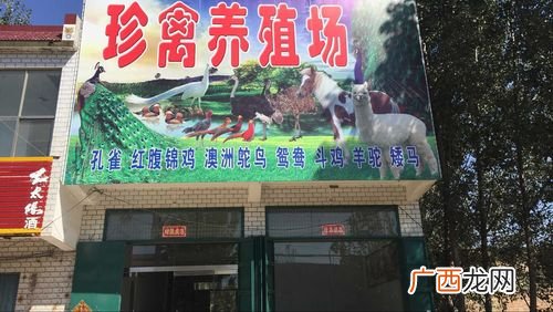 梁山县建成养殖场 梁山县运养殖场