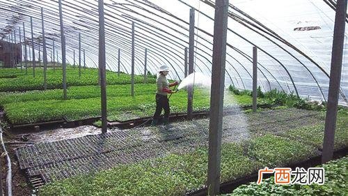 滑县上官镇养殖设备 滑县 养殖 合作社