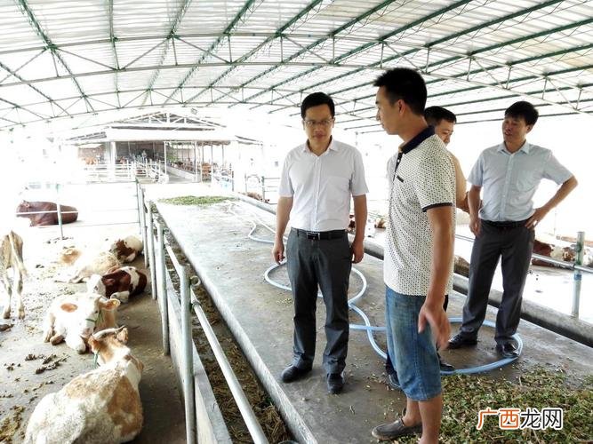 滑县上官镇养殖设备 滑县 养殖 合作社