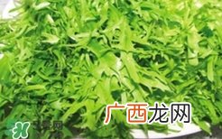 痛风能吃苦菊吗？苦菊痛风人可以吃吗