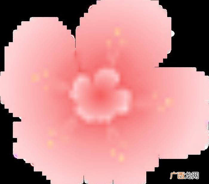 樱花文案/待君有余暇 樱花唯美句子简短