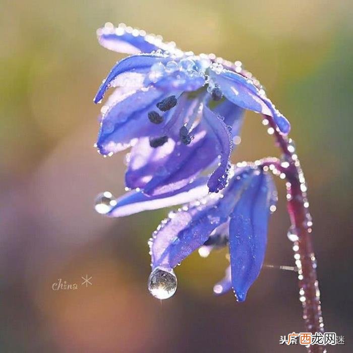 温暖别人的朋友圈说说心情短语 给朋友的留言暖句