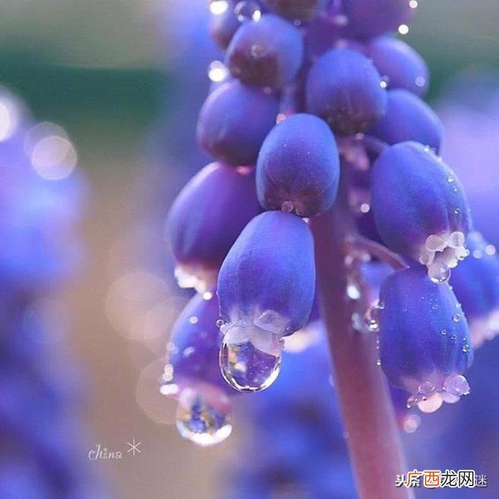 温暖别人的朋友圈说说心情短语 给朋友的留言暖句