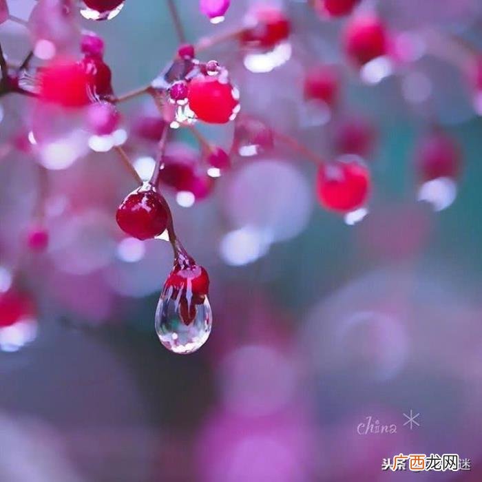温暖别人的朋友圈说说心情短语 给朋友的留言暖句