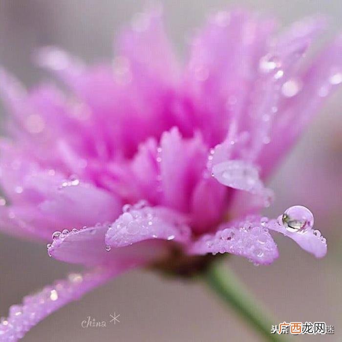 温暖别人的朋友圈说说心情短语 给朋友的留言暖句