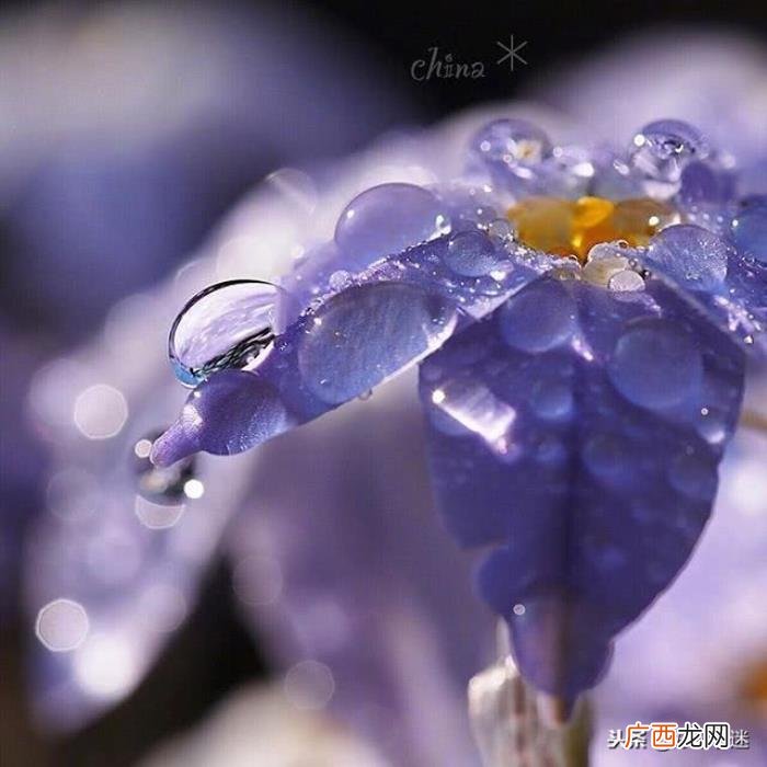 温暖别人的朋友圈说说心情短语 给朋友的留言暖句