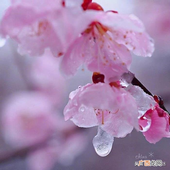 温暖别人的朋友圈说说心情短语 给朋友的留言暖句