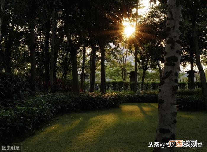 请保存关于太阳的好句好段 描写太阳的优美句子
