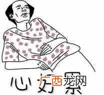 现在开家奶茶店需要什么机器（开奶茶店需要购