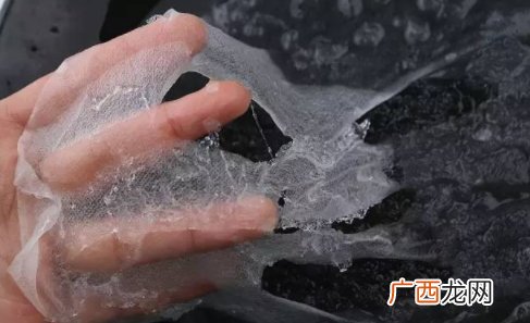 雪燕可以做面膜吗？最有效的玻尿酸面膜