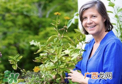 更年期什么时候开始？更年期要多久的时间才结束