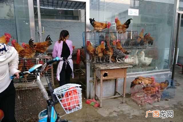 早市上卖什么好卖又赚钱 早市卖点什么好
