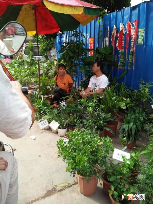 乡镇上摆摊卖什么好 在镇上摆摊什么最好卖