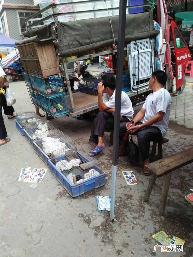 乡镇上摆摊卖什么好 在镇上摆摊什么最好卖