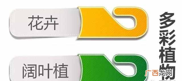 小孩今年流行什么衣服(2019童装春夏童装流行趋