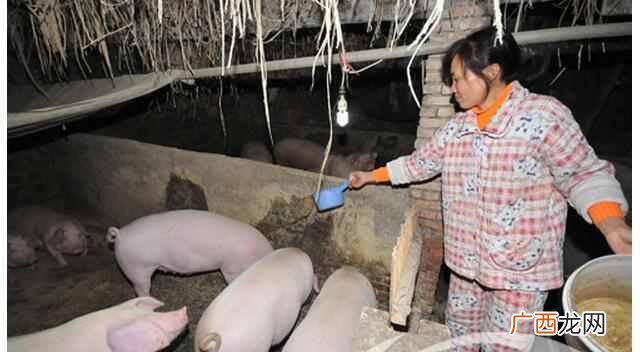 在农村想赚钱干什么比较好（在乡下做点什么能