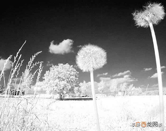 迷途孩子哭着想回家 想回家的图片