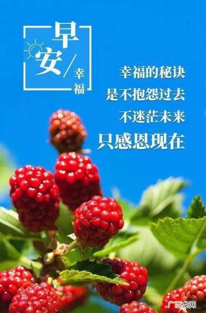 抖音很火的励志句子 抖音励志语录