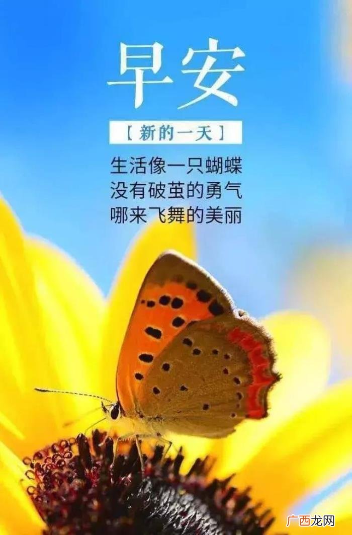 抖音很火的励志句子 抖音励志语录
