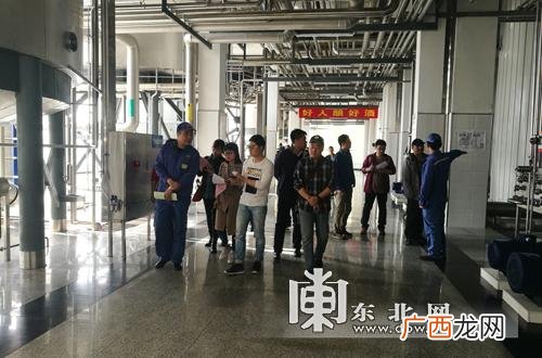 青岛山水啤酒价格,啤酒易拉罐厂家招代理