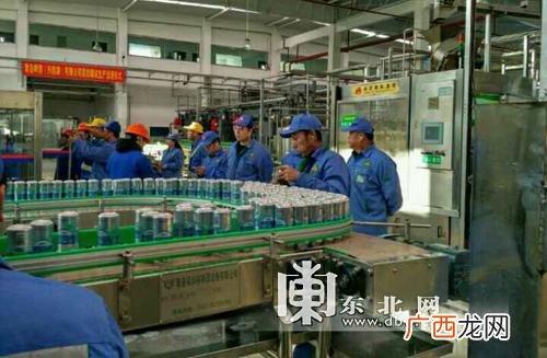 青岛山水啤酒价格,啤酒易拉罐厂家招代理