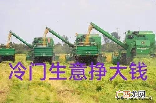 有哪些冷门但是赚钱的职业,什么行业冷门但赚钱
