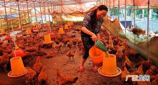 现在做养殖有什么好处（现在从事养殖业前景好