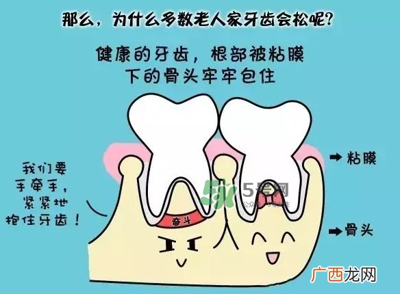 牙齿松动会自己好吗？牙齿松动会自己掉吗