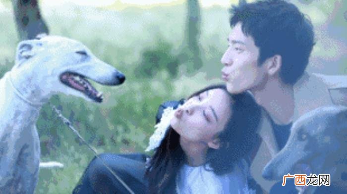 井柏然倪妮分手，倪妮井柏然竟然分手了