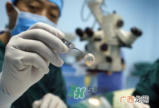 猪眼角膜可以移植吗_用猪眼角膜能看见吗