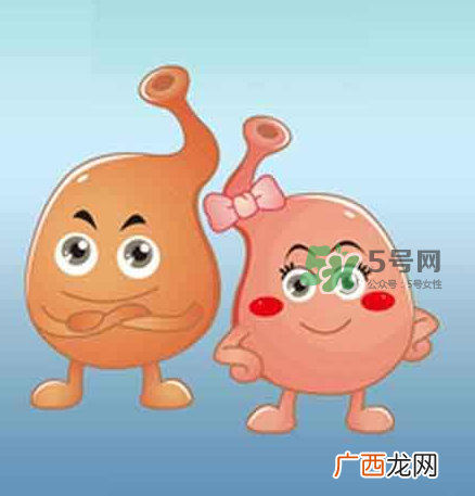 肠胃不好会影响月经吗?肠胃不好会导致月经推迟吗?