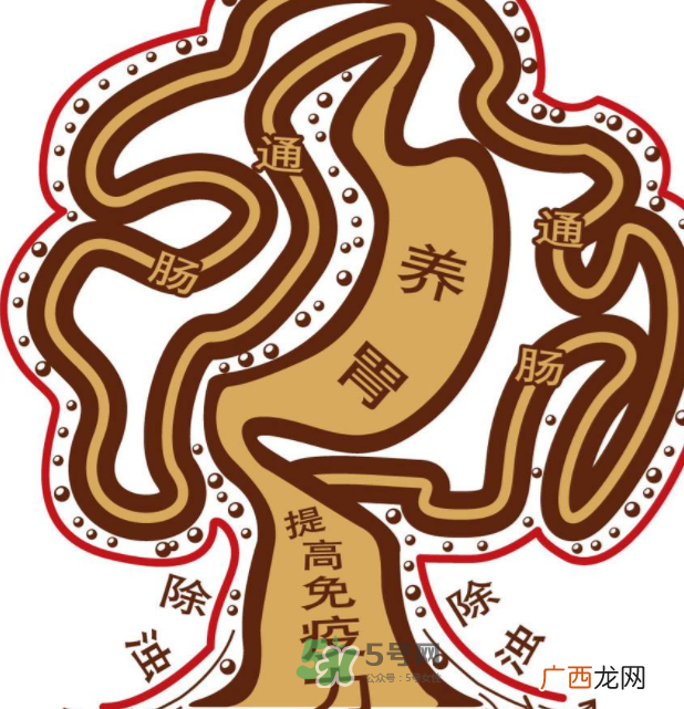 肠胃不好会引起头晕吗？头晕与肠胃不好有关系吗？