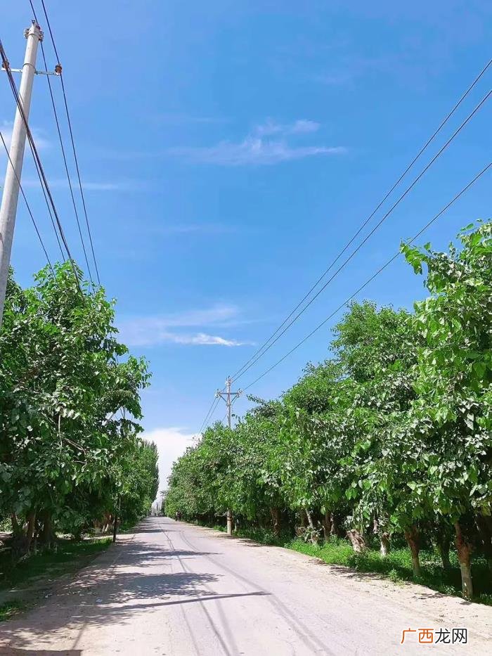 怎么跟刚加的小姐姐聊天，微信刚加的妹子怎么聊