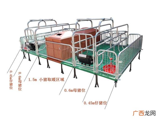 养多少头母猪有补贴 50头母猪养殖厂图片