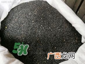 怎么看男人肾好不好？男人肾虚吃什么调理？