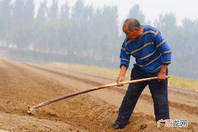 什么季节种什么农作物 现在季节适合种什么农作物