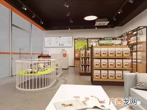 开宠物店需要什么手续（新手开店需要哪些条件