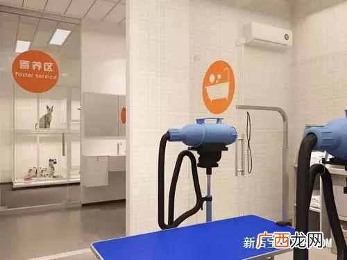 开宠物店需要什么手续（新手开店需要哪些条件