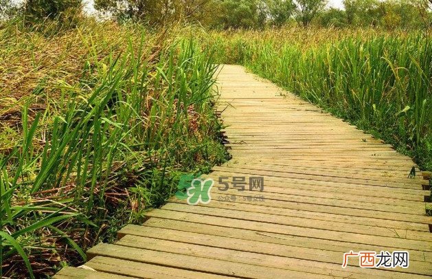 心碎综合症是抑郁症吗？心碎综合症怎么治疗