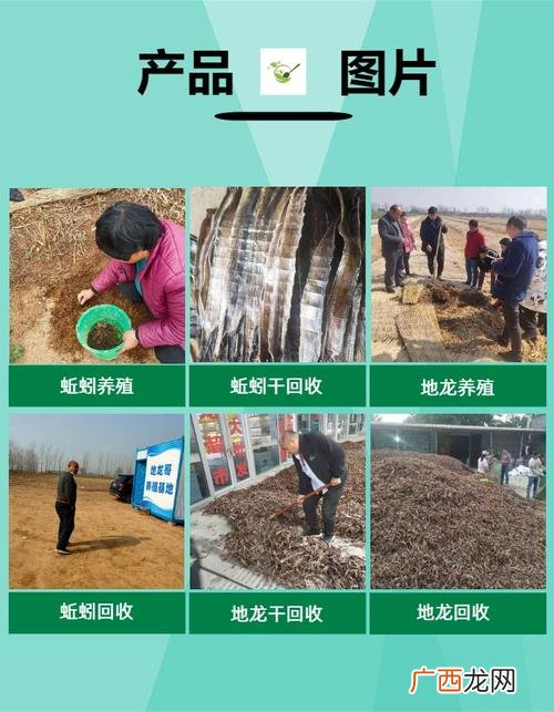 蚯蚓养殖风险利润 2017年蚯蚓养殖赚钱吗