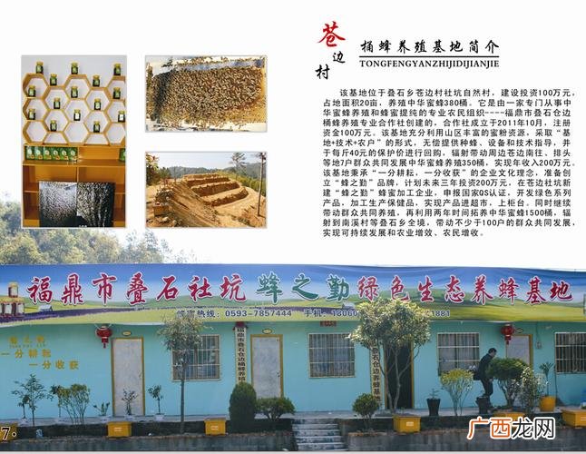 附近的意大利蜂养殖场 福建中蜂养殖场