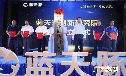 硅藻泥什么时牌子比较好（加盟硅藻泥选什么牌