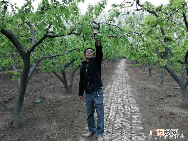 足不出户赚现金的方法（空闲时间上掘金的好项