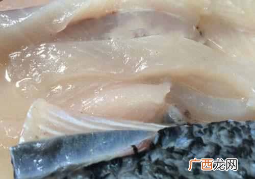 广州哪里做的鱼最好吃 广州有什么好吃的鱼