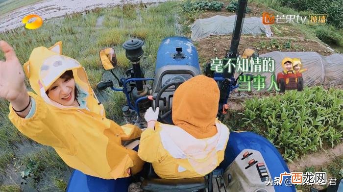 杨紫张艺兴私下关系，张艺兴杨紫关系升温