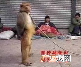 店员和导购有什么区别（如何成为一个优秀的导