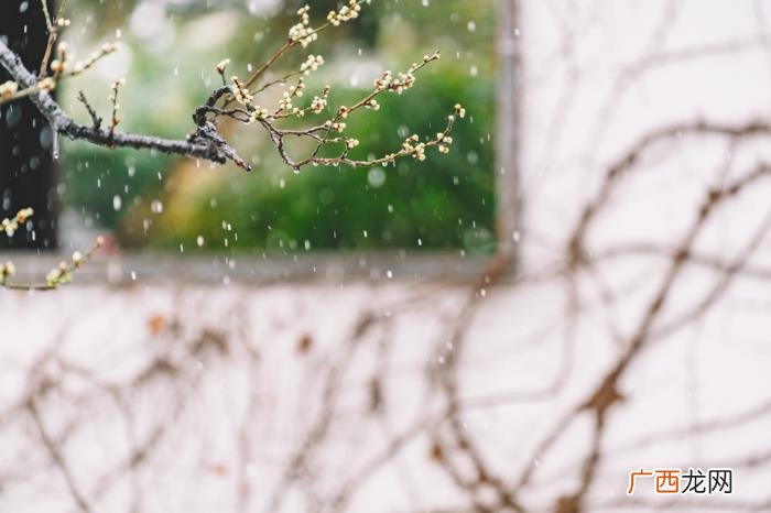 那些赞美雪的古诗词 赞美雪