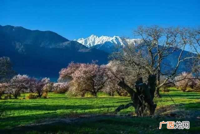 去西藏旅游带什么衣服（西藏的气候不定带哪些