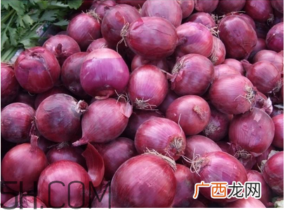 不同人群如何选择感冒药？感冒了能吃洋葱吗？