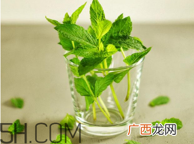 感冒可以喝酒吗？薄荷治疗感冒的方法